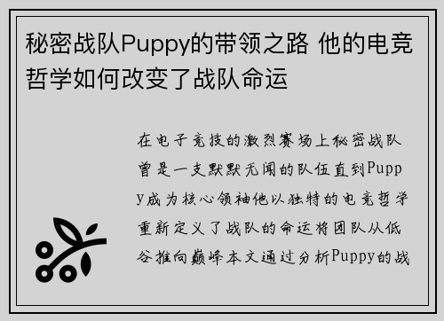 秘密战队Puppy的带领之路 他的电竞哲学如何改变了战队命运