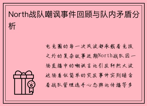 North战队嘲讽事件回顾与队内矛盾分析